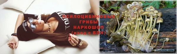 spice Аркадак