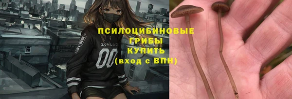 дживик Балахна