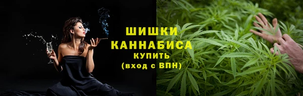 амф Арсеньев