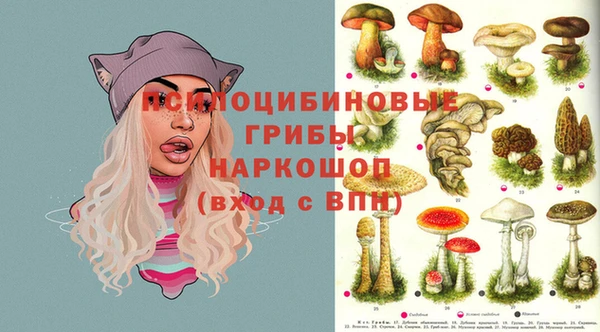 spice Аркадак