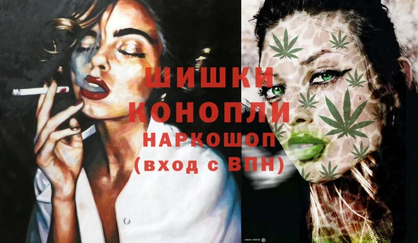 spice Аркадак