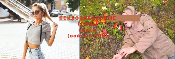 spice Аркадак