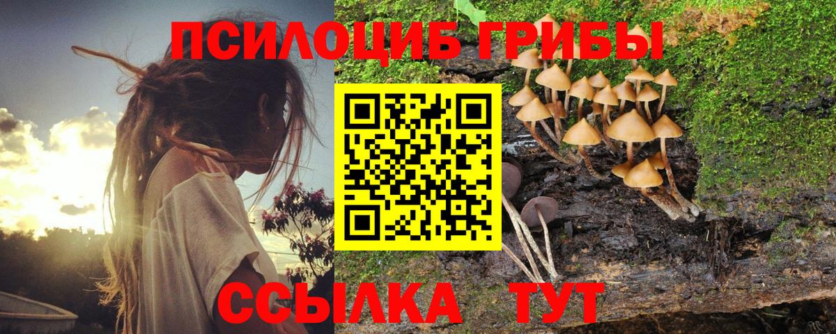 Родники  Псилоцибиновые грибы ЛСД  Вход с VPN 